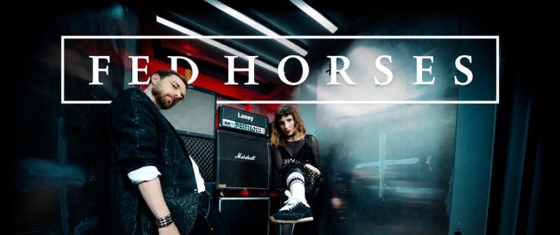 fed horses