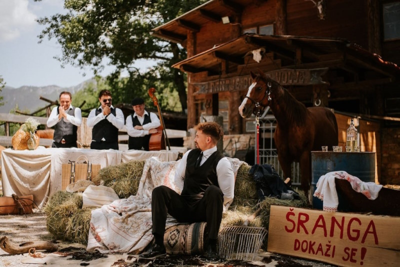 zan sercic modrijani