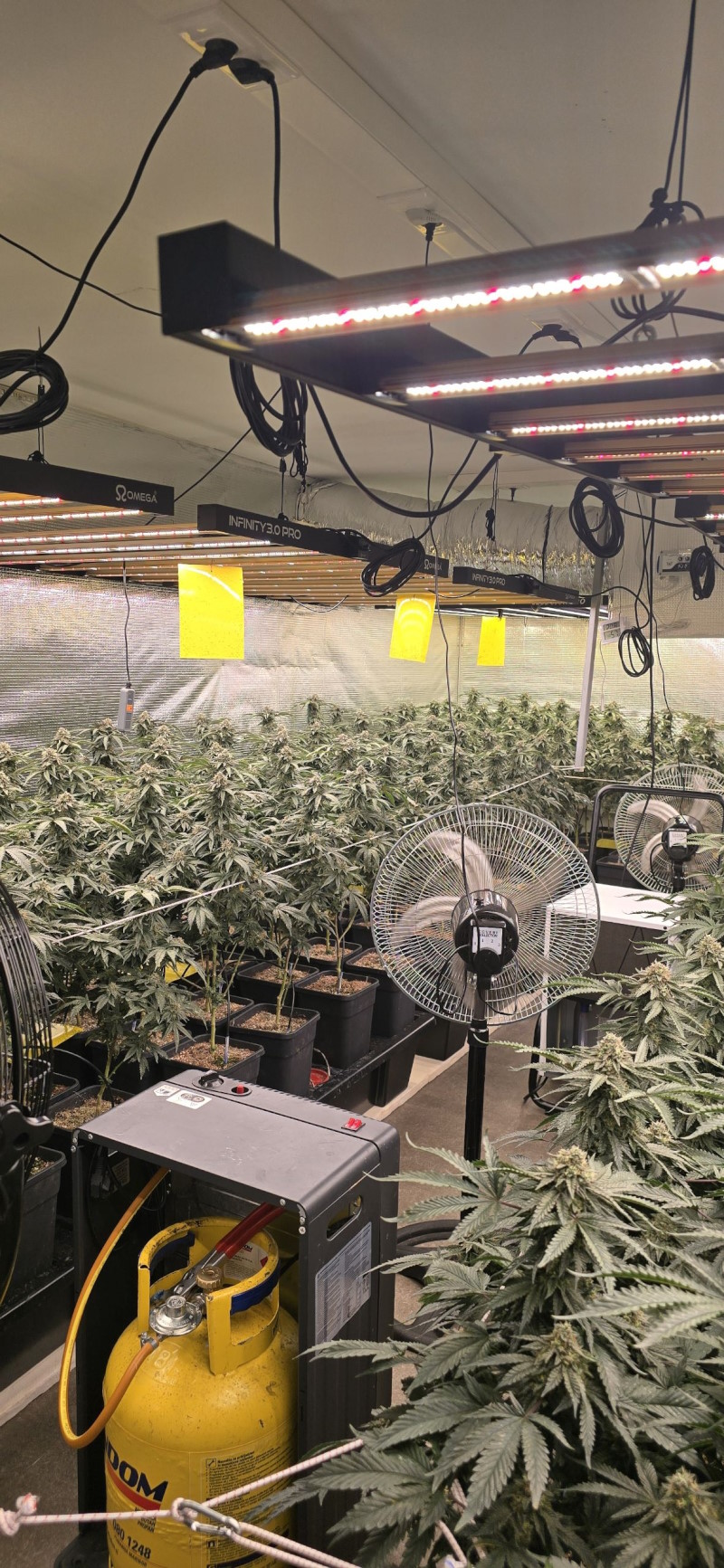 zasezena droga ljubljana 1