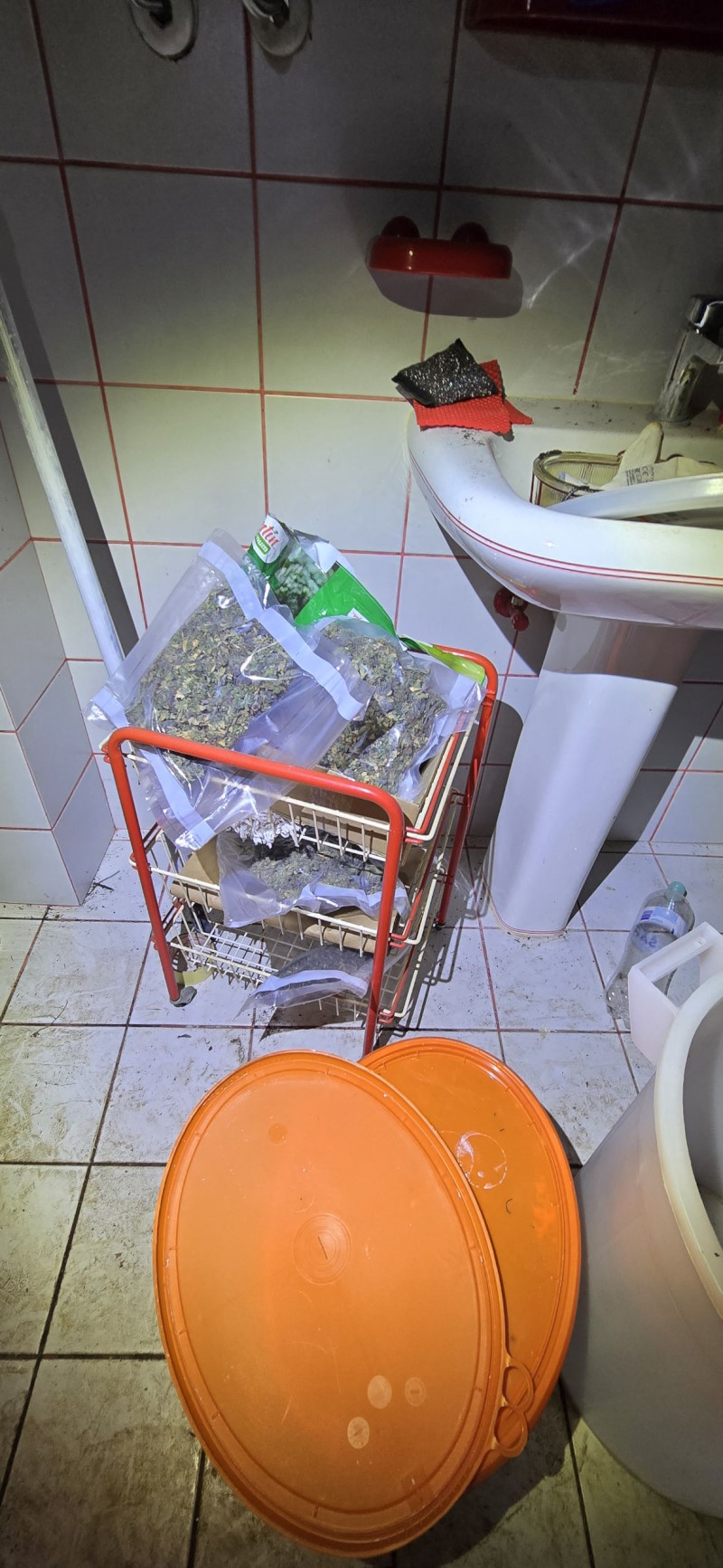 zasezena droga ljubljana 3