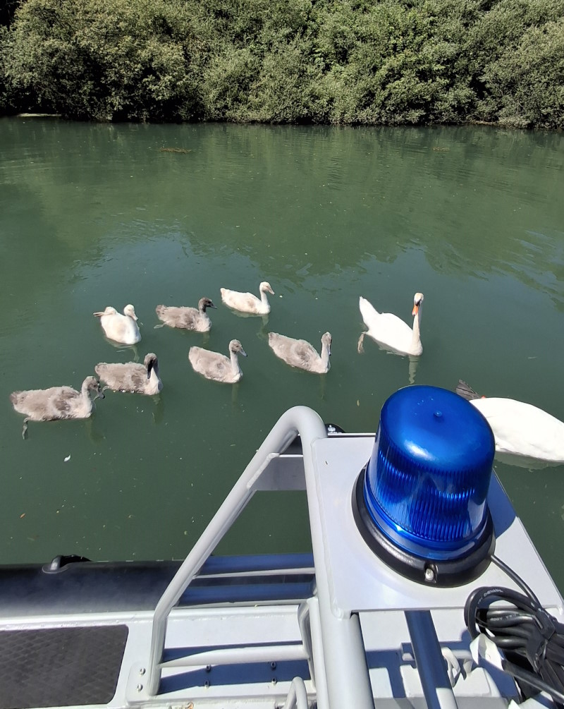 nadzor recnega prometa pu ljubljana 3