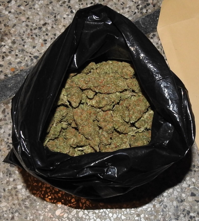zasezena droga nova gorica 11