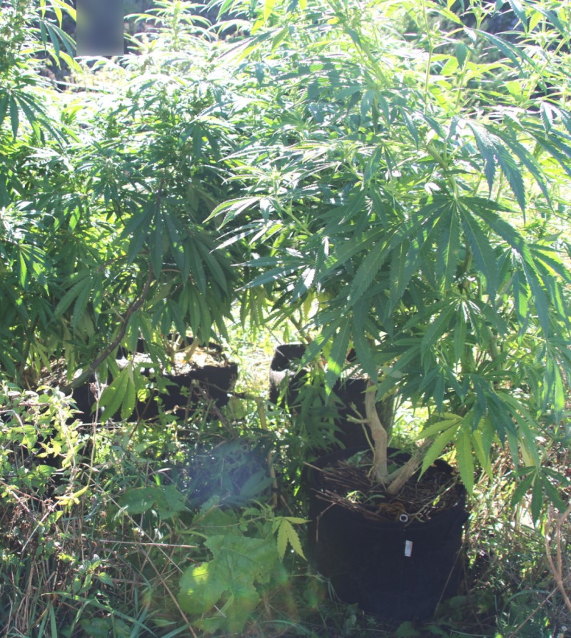 zasezena droga nova gorica 13