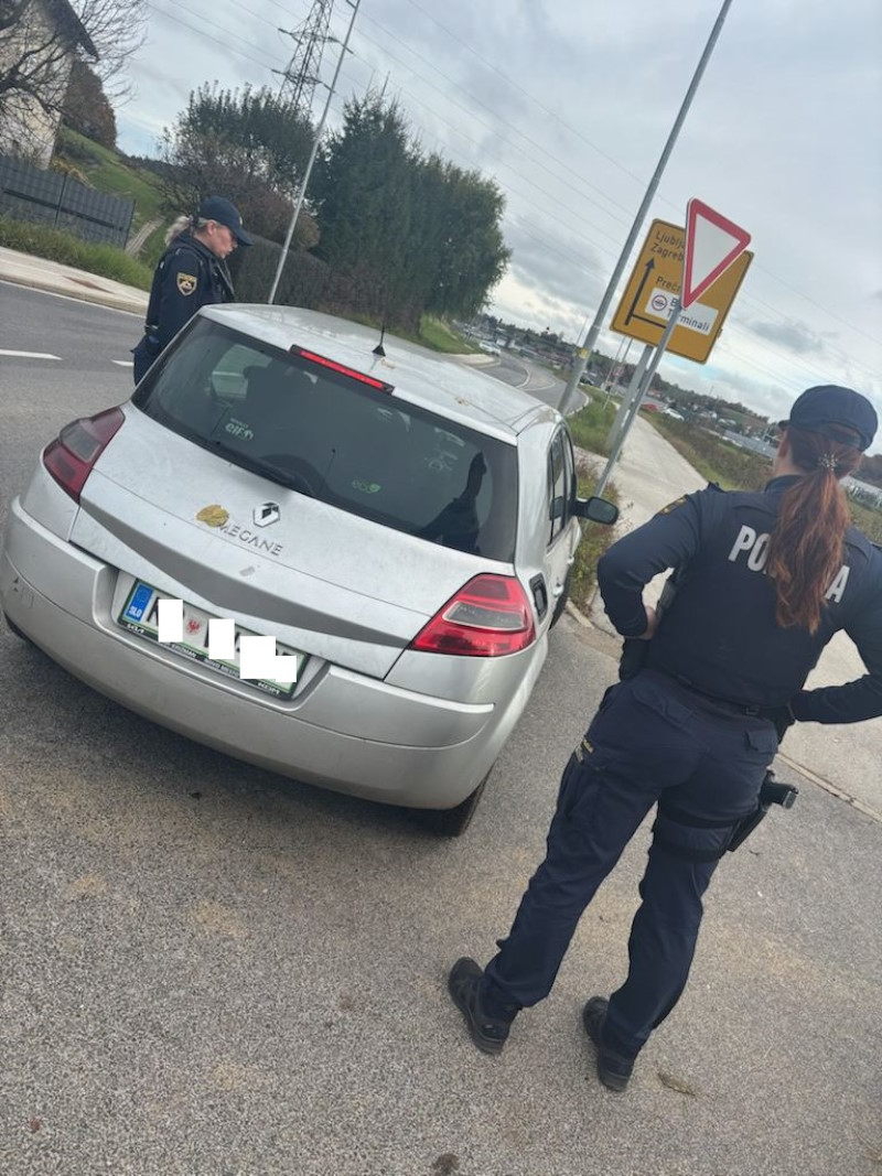 nadzor novo mesto 3