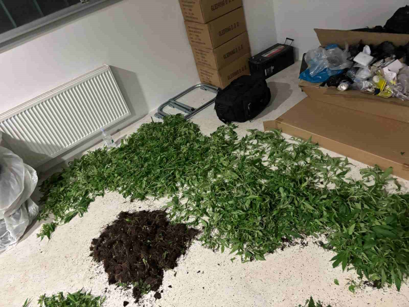 zasezena droga trzin 11