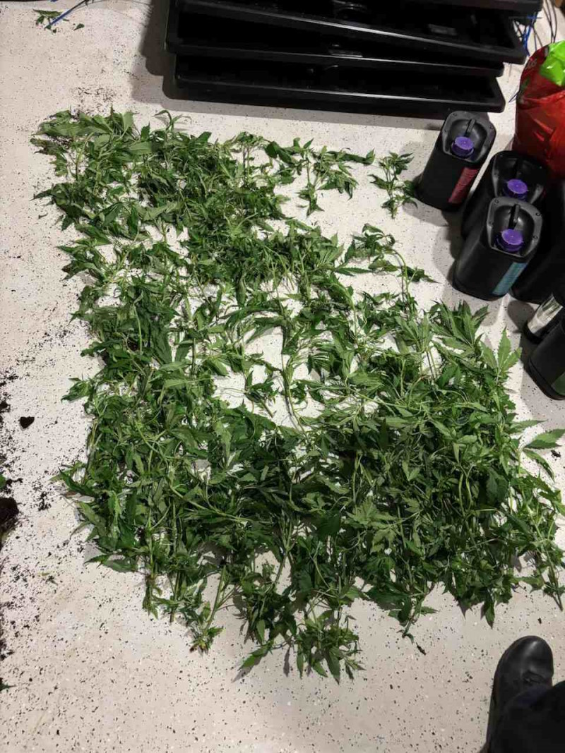 zasezena droga trzin 12