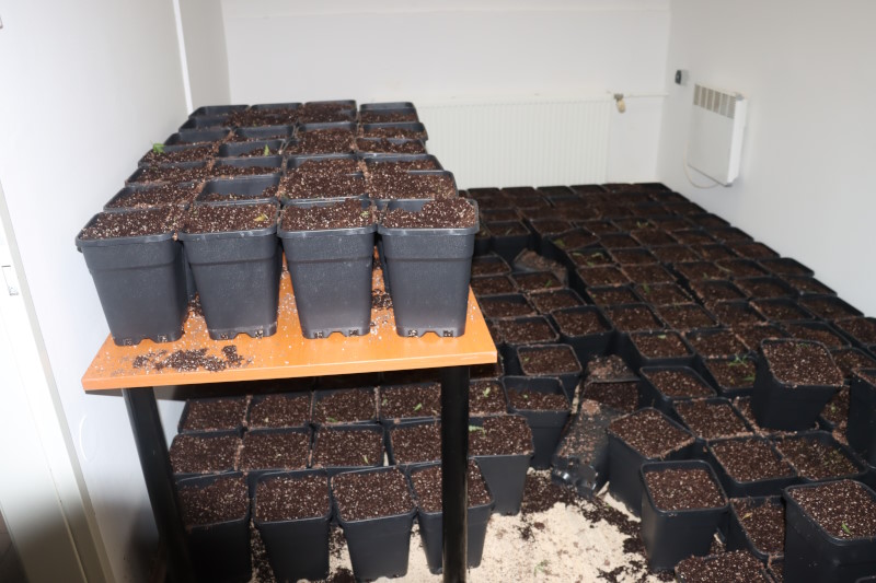 zasezena droga trzin 14